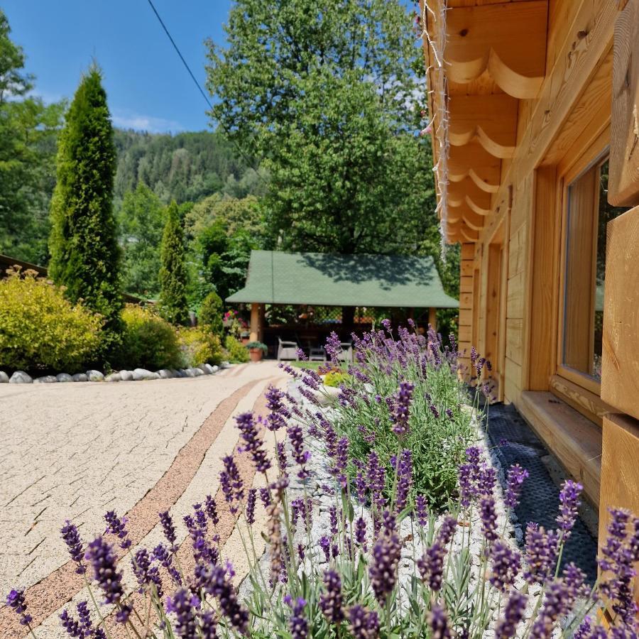 Willa Jak U Babci Wisla Exterior photo